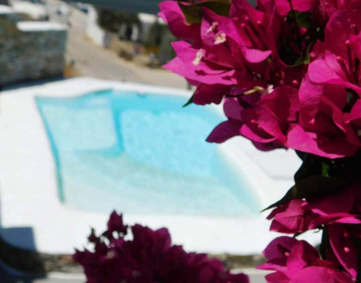 Ιδιωτική πισίνα και αυλή στο διαμέρισμα 4