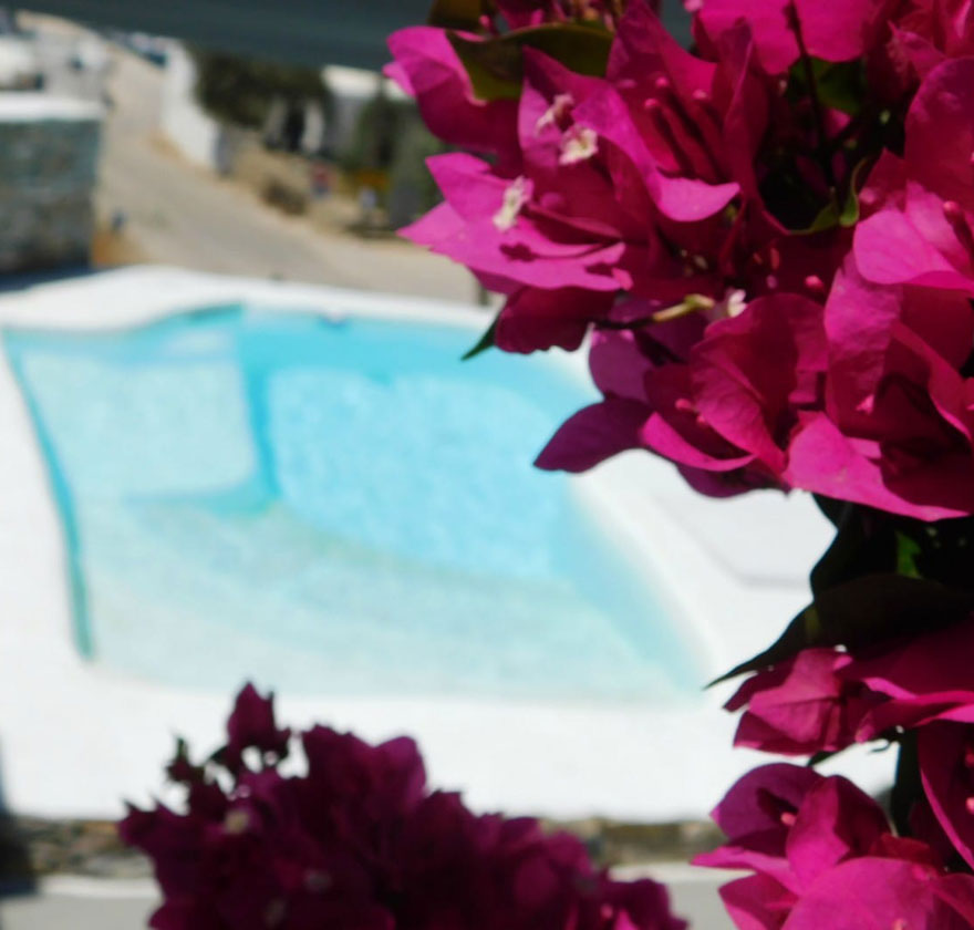 Διαμονή στο Venereum στη Σίφνο